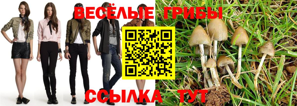 Галлюциногенные грибы MAGIC MUSHROOMS Сертолово